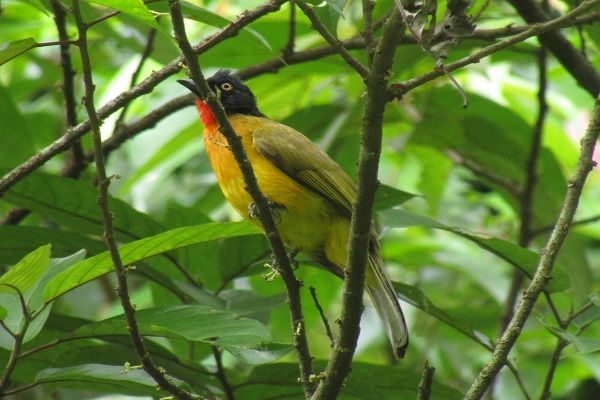 IMG_1059 IMG_1059