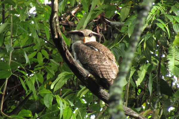 IMG_0900 IMG_0900